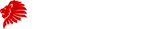 letzvolley logo white header